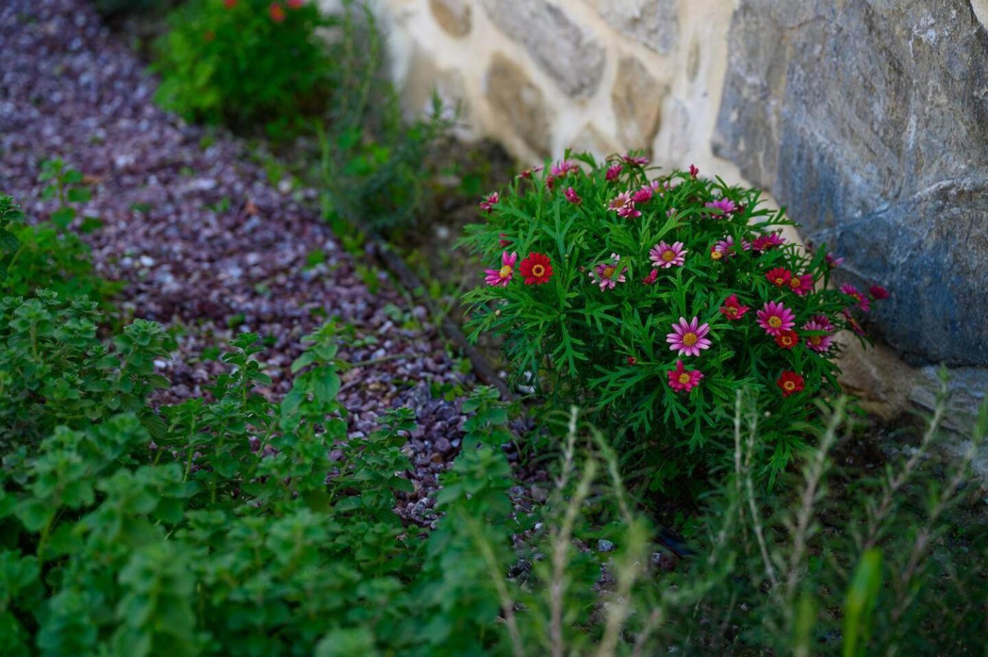 Physis Country House Near Matala Beach & Faistos Kouses Luaran gambar
